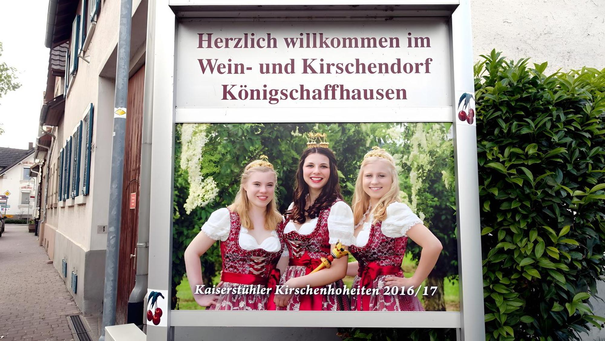 Ferienwohnung Fliegerhorst Endingen am Kaiserstuhl ภายนอก รูปภาพ