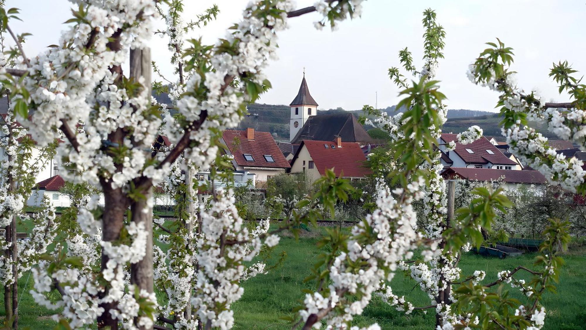Ferienwohnung Fliegerhorst Endingen am Kaiserstuhl ภายนอก รูปภาพ