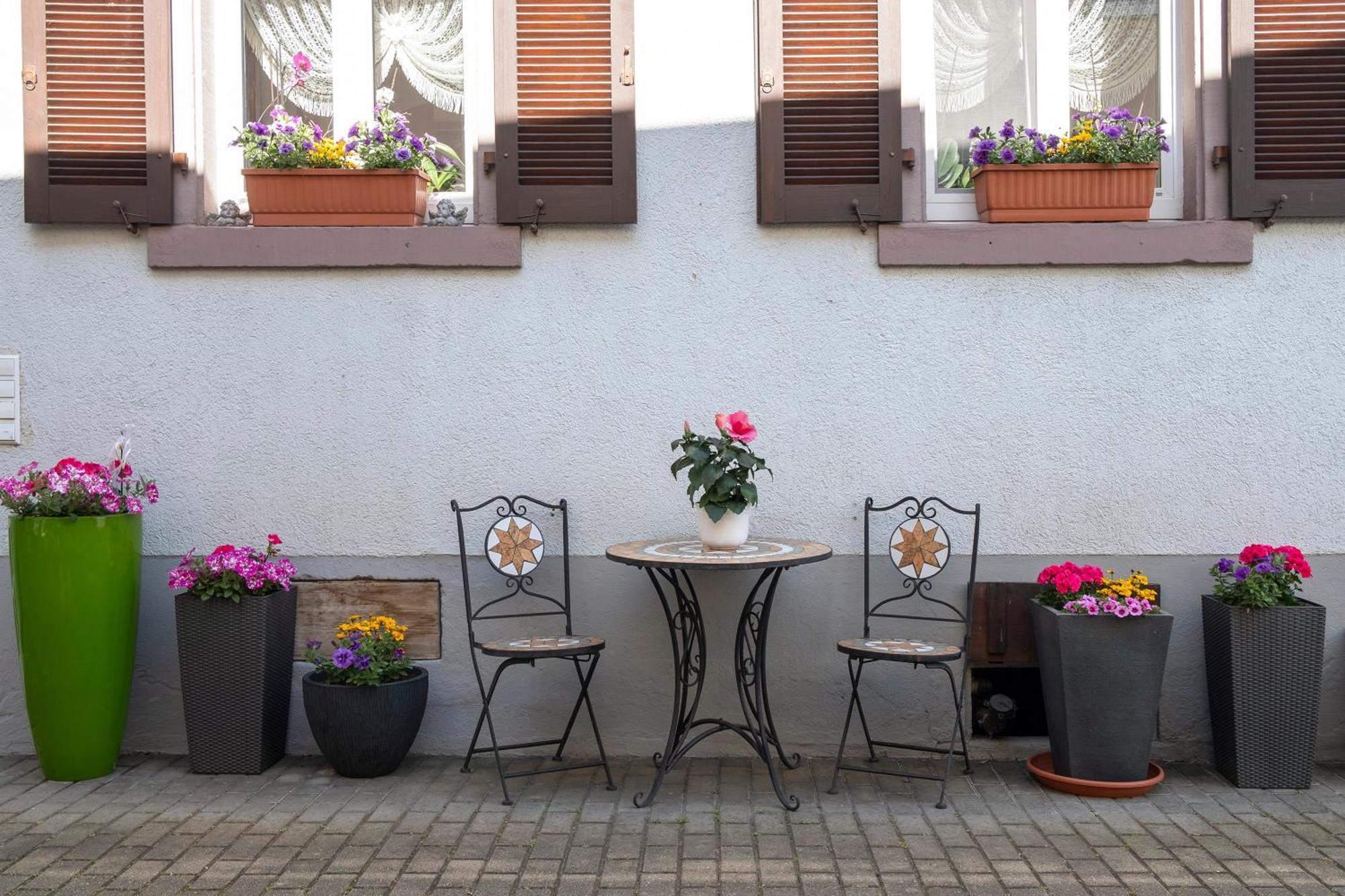 Ferienwohnung Fliegerhorst Endingen am Kaiserstuhl ภายนอก รูปภาพ