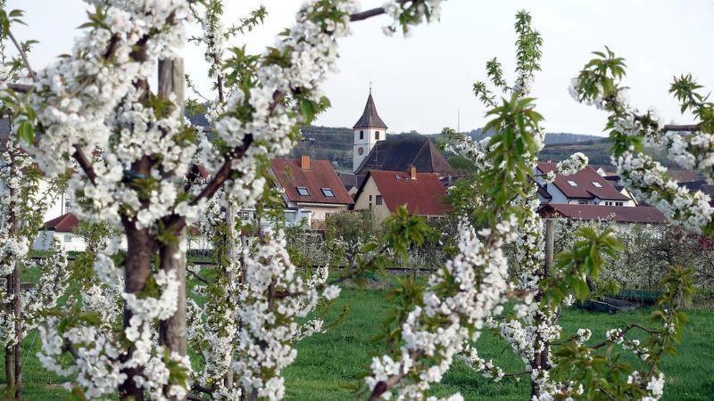 Ferienwohnung Fliegerhorst Endingen am Kaiserstuhl ภายนอก รูปภาพ